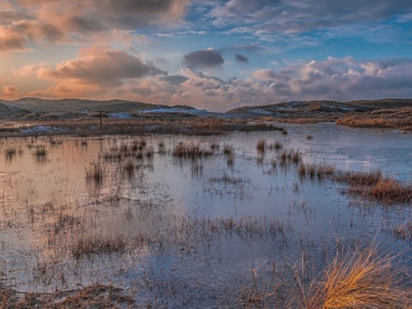 Duinen met water